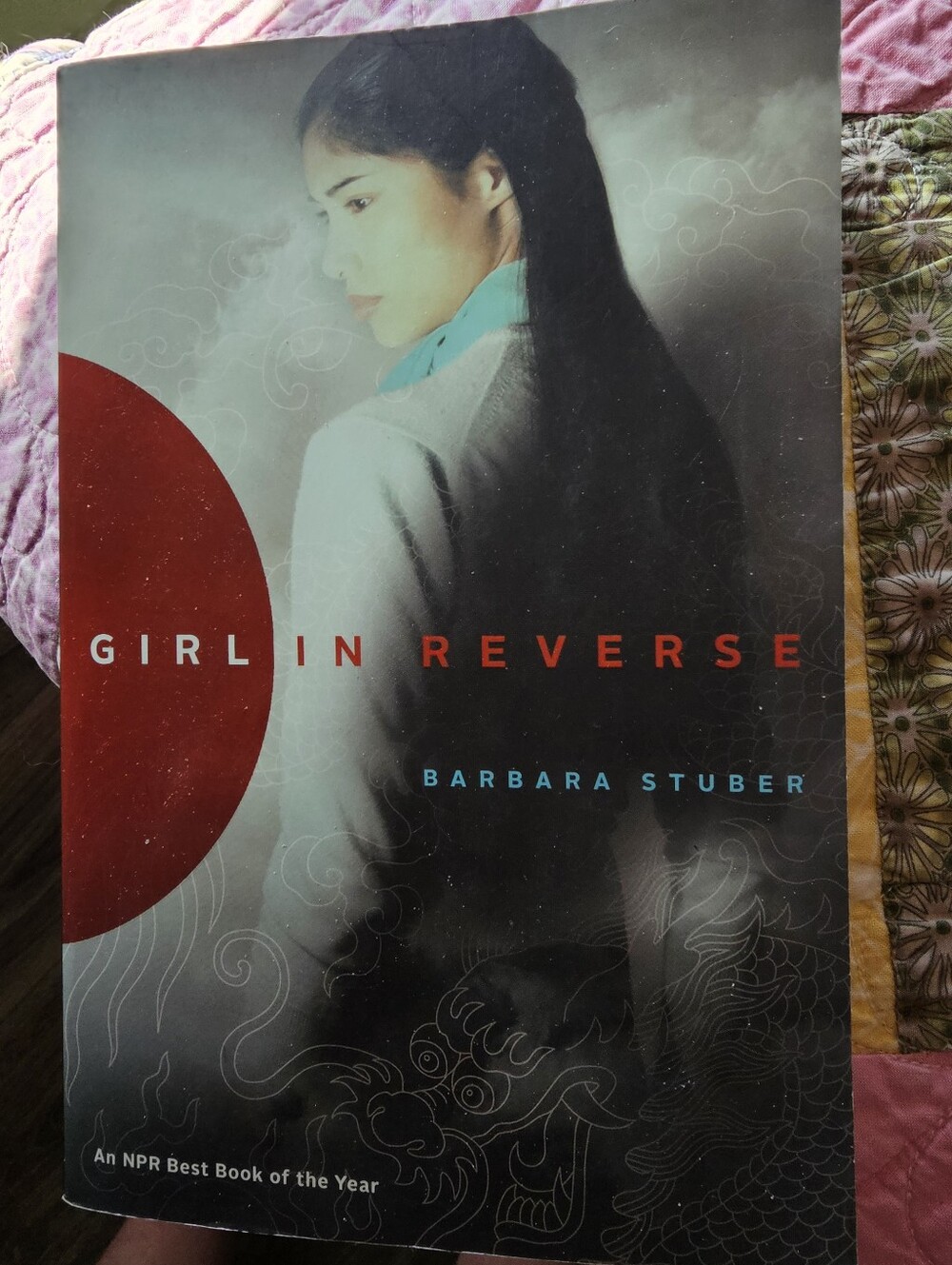 Girl in Reverse by Barbara Stuber - Soft Gray Cover with Red Accent